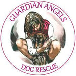 guardian angels logo